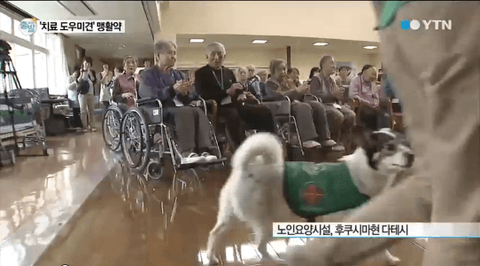 ダウンロード (2)