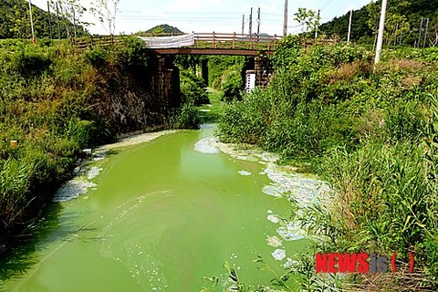 201406090349776929_5394b06293c7e_99_20140609060803