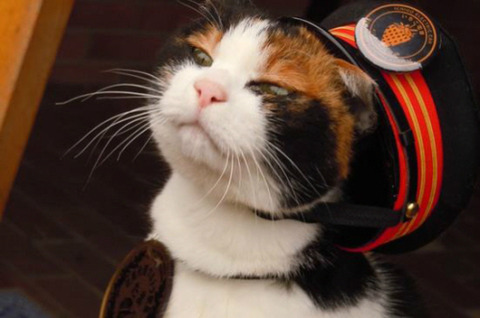 20150811002811_0_99_20150811170810