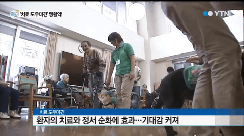 ダウンロード (12)