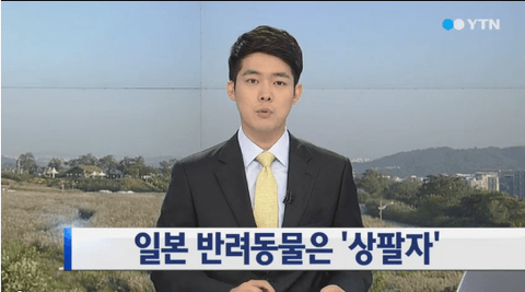 ダウンロード (1)