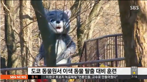 ダウンロード (1)