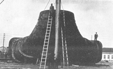 ダウンロード (3) (1)