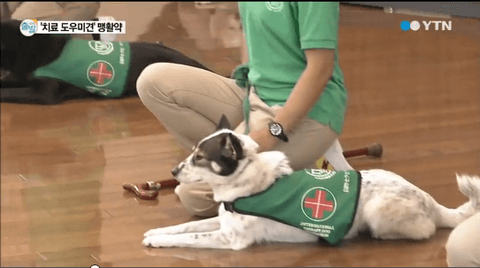 ダウンロード (3)