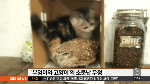 ダウンロード (6)