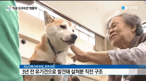 ダウンロード (6)