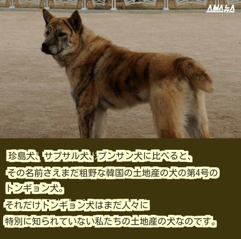 ダウンロード (13) (1)