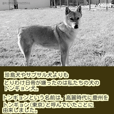 ダウンロード (3) (1)