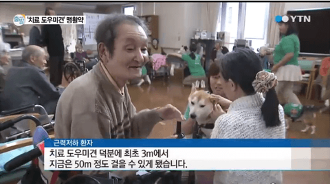 ダウンロード (13)