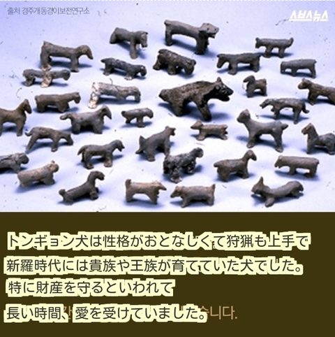 ダウンロード (4) (1)