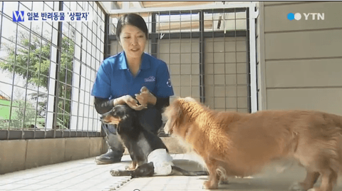 ダウンロード (6)