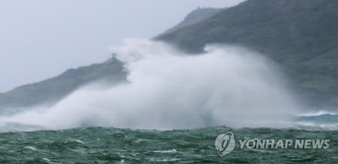 【韓国の反応】「たぬき」が日本に向かってアプローチ「歴代最強の台風になるもよう」