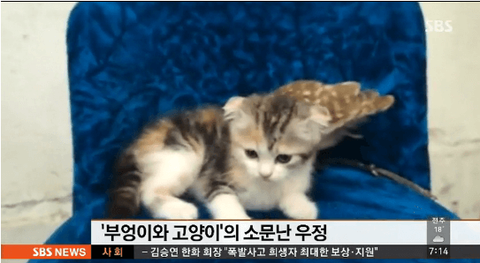 ダウンロード (5)