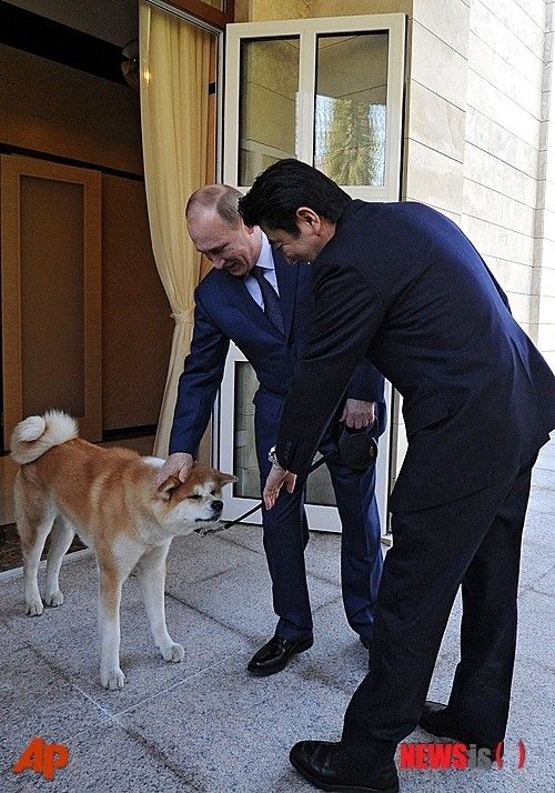 【人気ダウンロード！】 プーチン 犬 プレゼント 156805プーチン 犬 プレゼント