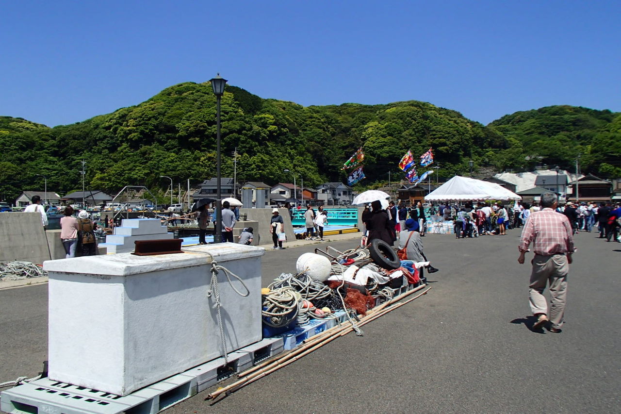 イメージ 7
