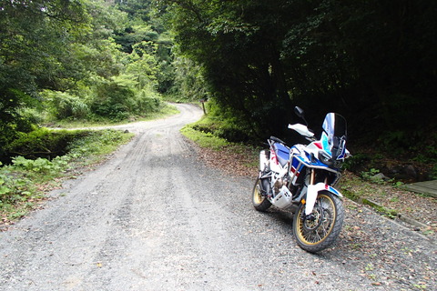 P7250017