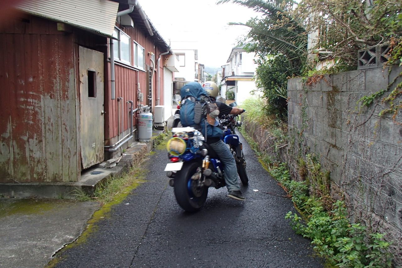 イメージ 5