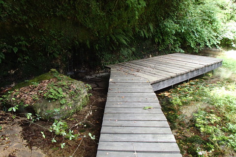 P7250020