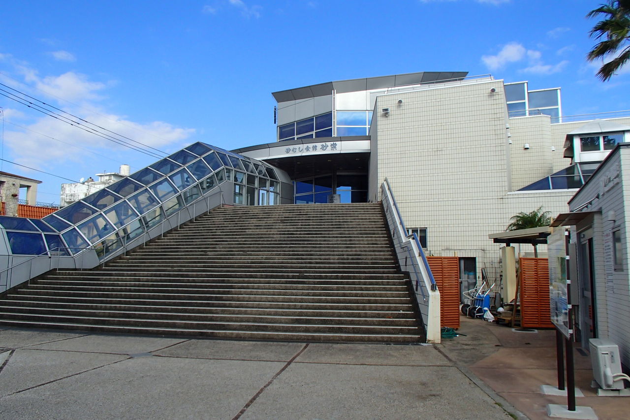 イメージ 1