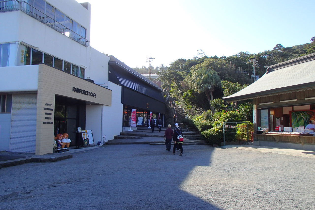 イメージ 18