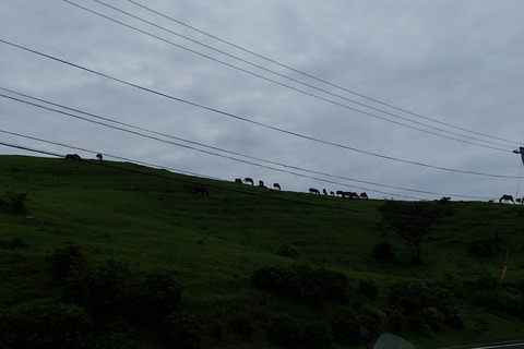 P7050246