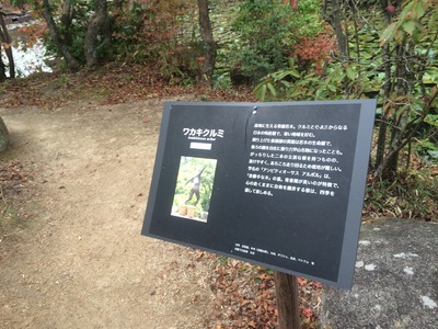 IMG_9091[1]