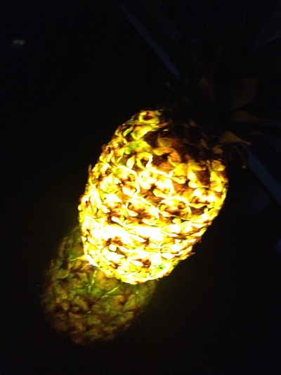 IMG_4781[1]