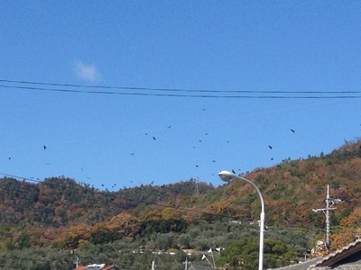 IMG_2121[1]