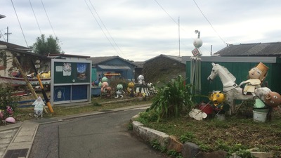 IMG_8650[1]