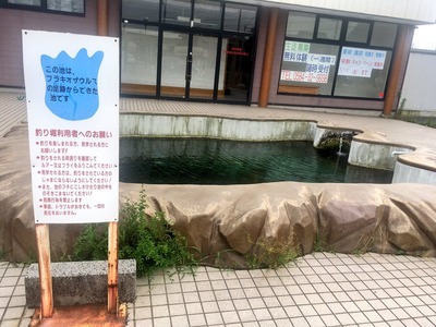 蛇持の恐竜