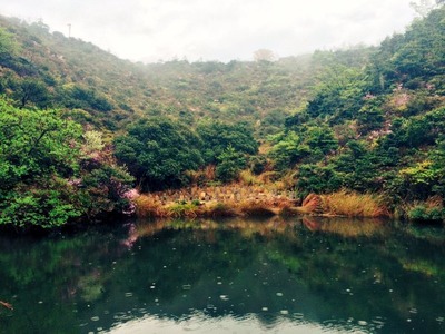 suragu