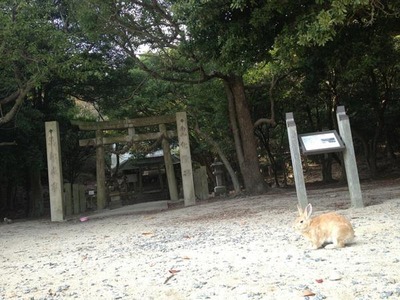 大久野島神社とうさぎ