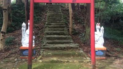 IMG_8605[1]