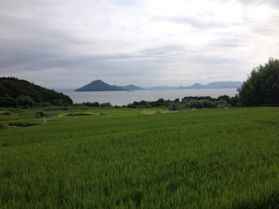 IMG_5152[1]