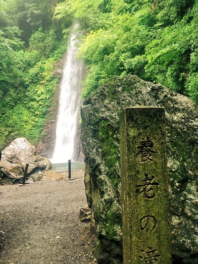 養老の滝