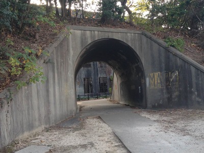 発電所跡へのトンネル