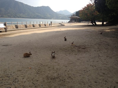 うさぎ島