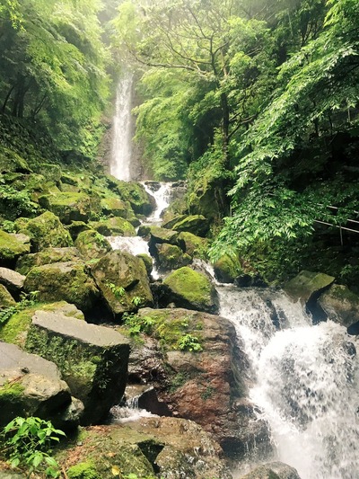 養老の滝