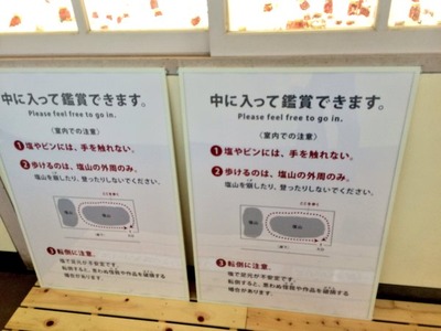 ハレの日、金時への道3
