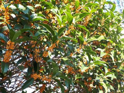 rps20190930_155618_378