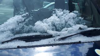 rps20200324_172758_335