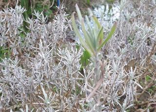rps20200324_173106_355