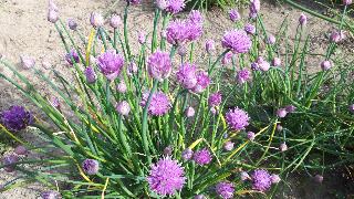 rps20210514_221211_737
