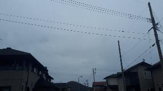 rps20210305_153827_073