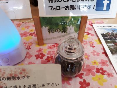 rps20190203_154835_341
