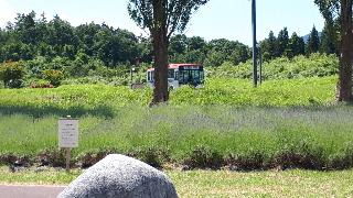 rps20200624_141817_404