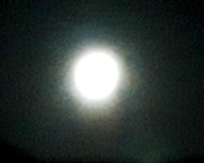 rps20190913_212338_166