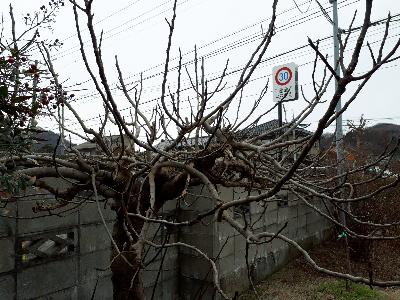 rps20190220_131423_866