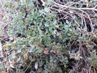 rps20191106_193026_742