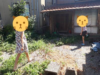 rps20180813_141923_990